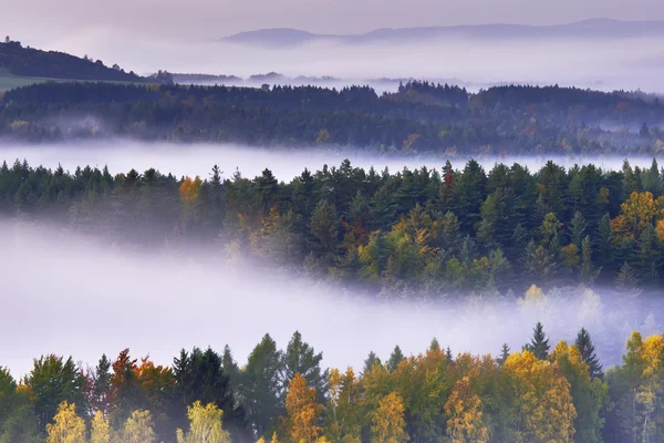 Foggy morning in the landscape — Stock Photo, Image