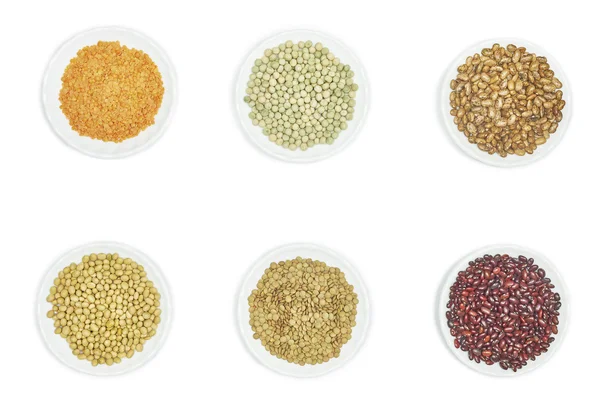 Six kinds of legumes — Stock Photo, Image