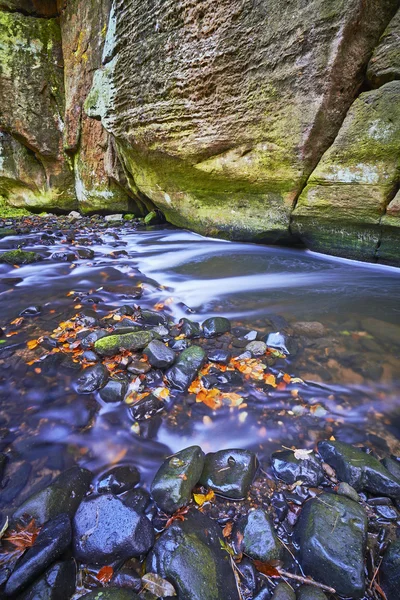 Autumn brook and rock — Stock Photo, Image