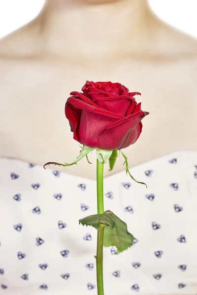 Красная роза и декольте женщина — стоковое фото