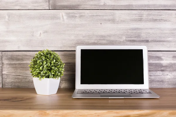 Blank black laptop screen and plant on wooden surface. Mock up