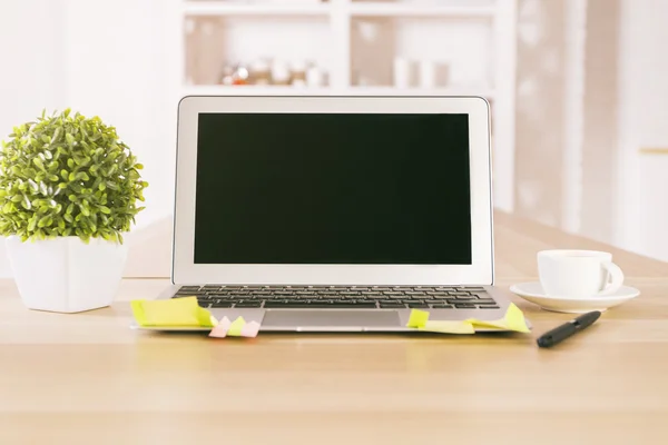 Üres fekete laptop és növény — Stock Fotó