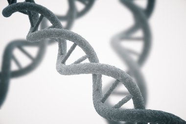 DNA closeup beyaz arka plan