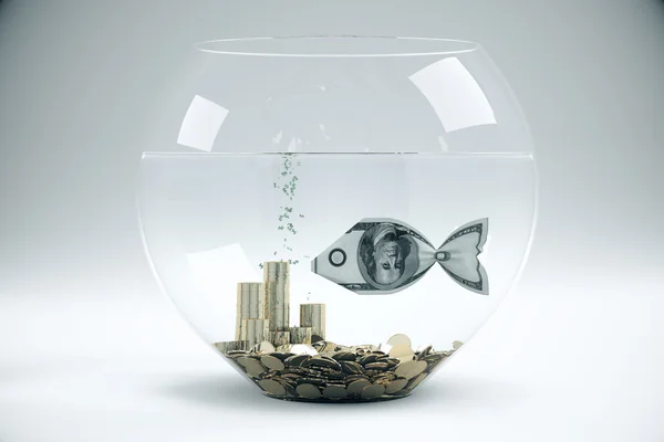 Tigela cinza com peixe dólar — Fotografia de Stock