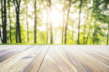 Doğa arka planında boş tablo