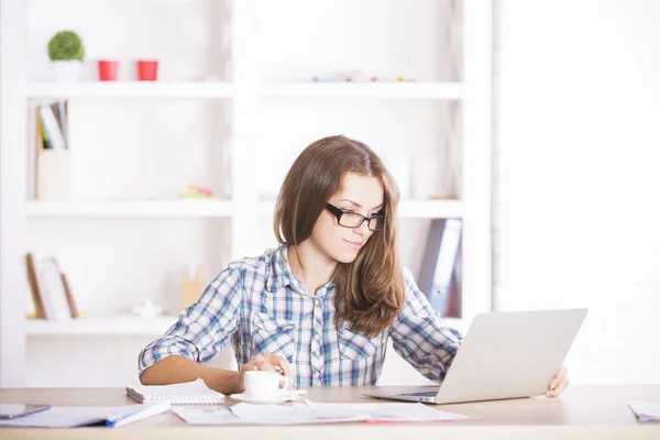 Grinning zakenvrouw met behulp van laptop — Stockfoto