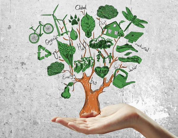 Θηλυκό χέρι κρατώντας δημιουργικό σκίτσο του δέντρου με υγιή πράσινα οικολογικά εικονίδια σε σκυρόδεμα φόντο. Οργανική έννοια — Φωτογραφία Αρχείου