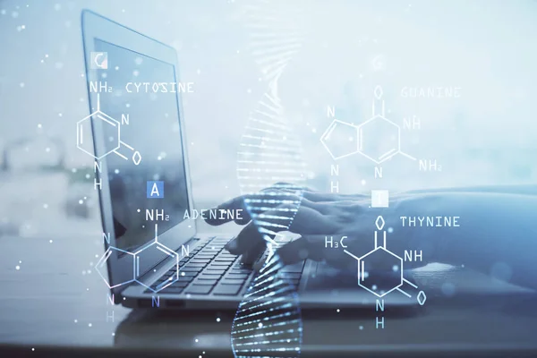 Dvojité vystavení ženských rukou psaní na počítači a DNA hologram kreslení. Koncept lékařské výchovy. — Stock fotografie