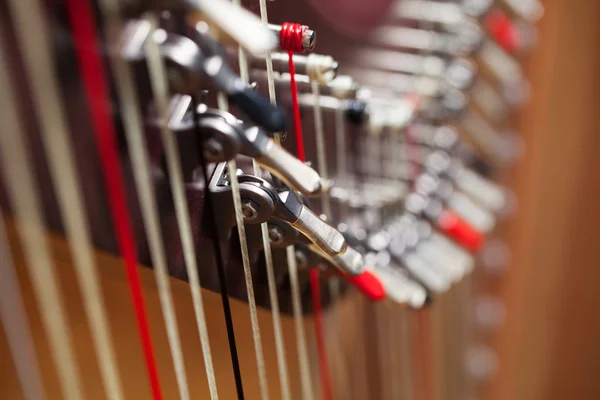 The Harp. Detail. — Stock Photo, Image