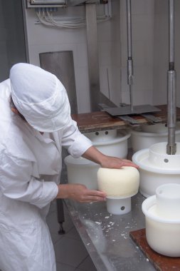 Masanın üzerine el yapımı peynir