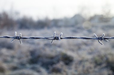 Dağı'nda kış sabahı .