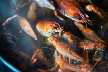 Pişirmeden önce bir kasede taze çiğ kerevit, yakın. Sağlıklı deniz ürünleri. Seçici odak