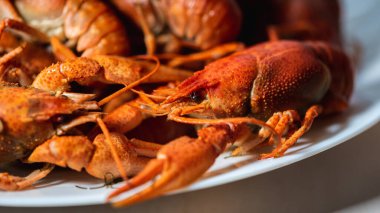 - Kanser. Arka planda kaynamış kırmızı kerevit tabağı. Seçici odaklanma. Lezzetli yemek konsepti