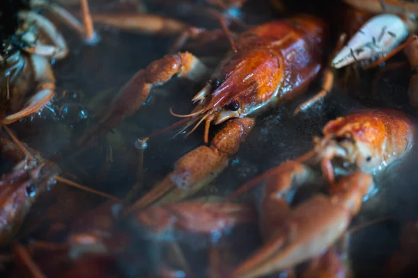 Verse Rauwe Rivierkreeft Een Kom Voor Het Koken Close Gezonde — Stockfoto