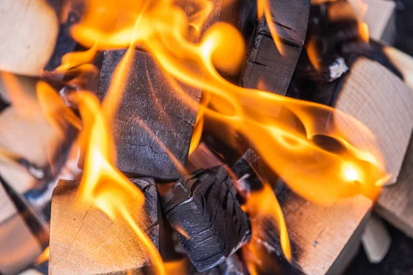 Ein Feuer Anzünden Einen Warmen Kamin Mit Vielen Bäumen Bereit — Stockfoto