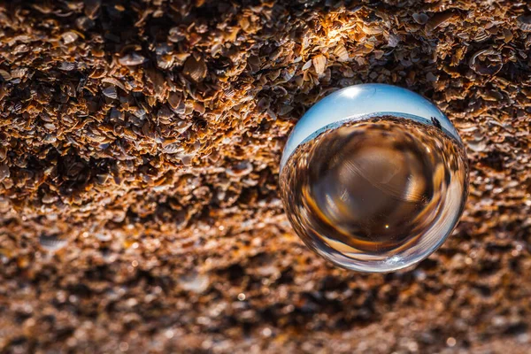 Vidrio Bola Redonda Superficie Del Océano Mar Orilla Conchas Nubes — Foto de Stock