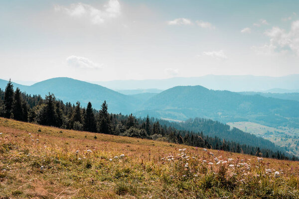 Fascinating panorama of sunset and landscape in the mountains on the hill, Ukrainian Carpathians mountains. Colored and their mountain landscapes. Nature concept