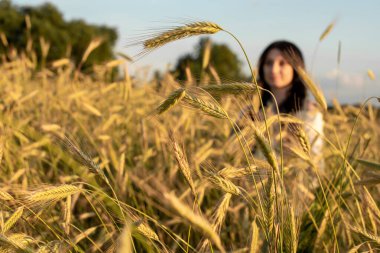 Gün batımı, yumuşak akşam renkleri, genç, güzel, duygusal esmer kız buğday tarlasında uzun saçlı, altın tarlasında. Sakinlik, ruhun huzuru.