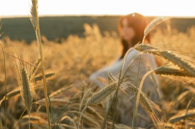 Gün batımı, yumuşak akşam renkleri, genç, güzel, duygusal esmer kız buğday tarlasında uzun saçlı, altın tarlasında. Sakinlik, ruhun huzuru.