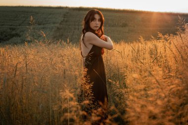 Gün batımı, yumuşak akşam renkleri, genç, güzel, duygusal esmer kız buğday tarlasında uzun saçlı, altın tarlasında. Sakinlik, ruhun huzuru.
