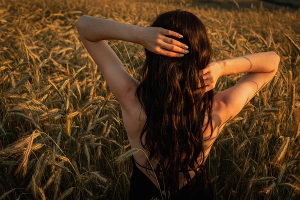 Sunset Wheat Field Young Beautiful Emotional Girl Brunette Long Hair — Stock Photo, Image