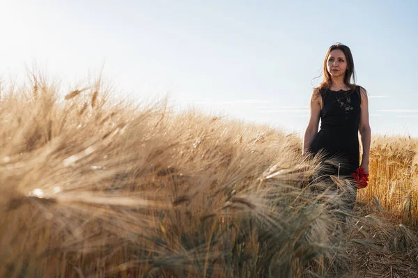 Gün batımında elinde kırmızı çiçeklerle altın buğday tarlasında siyah elbiseli zarif bir kadın. Kırsal güzelliği, huzuru ve doğal zarafeti çağrıştırıyor. Yaz aşkı