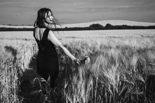Elbiseli bir kadının buğday tarlasında yürürken çekilmiş dramatik siyah beyaz fotoğrafı. Tek renkli kadın portresi rüzgarda tahıl kulaklarına dokunuyor. Özgürlük ve doğa kavramı