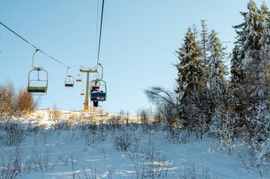 Başkanlık, açık mavi gökyüzünün altındaki bir kayak merkezindeki karlı çam ormanının üzerinden geçiyor. Dağ yamacında parlak kış güneşi. Aktif kış tatili ve spor konsepti