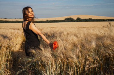 Siyah elbiseli güzel bir kadın gün batımında altın buğday tarlasında kırmızı bir gelincik tutuyor. Huzurlu doğa manzarası, kadınlık ve özgürlük yaşam tarzı fotoğrafçılık
