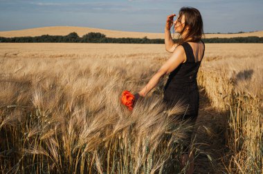 Siyah elbiseli güzel bir kadın gün batımında altın buğday tarlasında kırmızı bir gelincik tutuyor. Huzurlu doğa manzarası, kadınlık ve özgürlük yaşam tarzı fotoğrafçılık