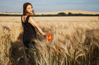 Siyah elbiseli anonim bir kadın gün batımında altın arpa tarlasında yürüyor. Özgürlük ve barış kavramı. Huzurlu doğa yaşam tarzı. Güzel kırsal zemin