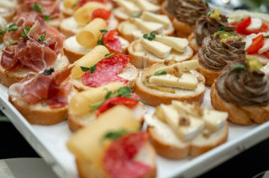 Assorted gourmet bruschettas with prosciutto, brie, pate and tomatoes on a tray. Professional catering finger food for events and wedding buffet. Shallow depth of field