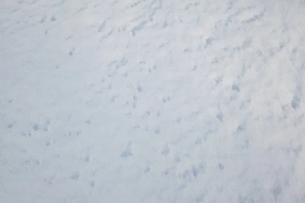Zimní Pozadí Sněhem Textury Detailní — Stock fotografie