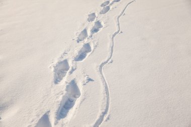 Taze karda insan ayak izleri.