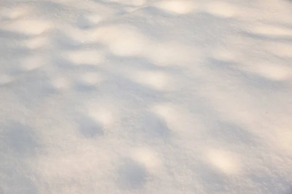 Winter Background Snow Texture Closeup — Stock Photo, Image