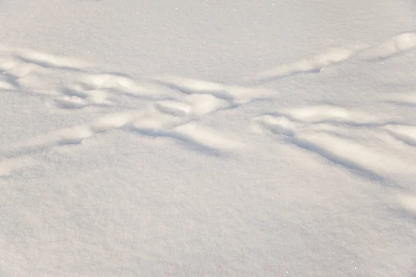 Следы Человека Свежем Снегу — стоковое фото