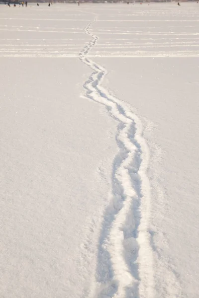 新鮮な雪の中で人間の足跡 — ストック写真