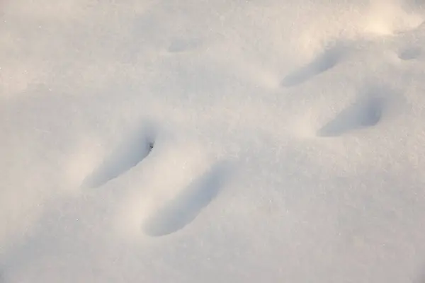 Pegadas Humanas Neve Fresca — Fotografia de Stock