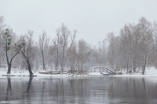 川や雪に覆われた海岸や小さな橋や木のある冬の風景 — ストック写真