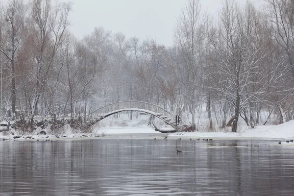 눈덮인 다리와 나무가 — 스톡 사진