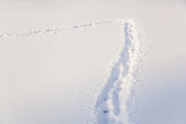 Menselijke Voetafdrukken Diepe Sneeuw — Stockfoto