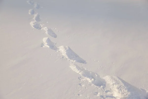Menselijke Voetafdrukken Diepe Sneeuw — Stockfoto