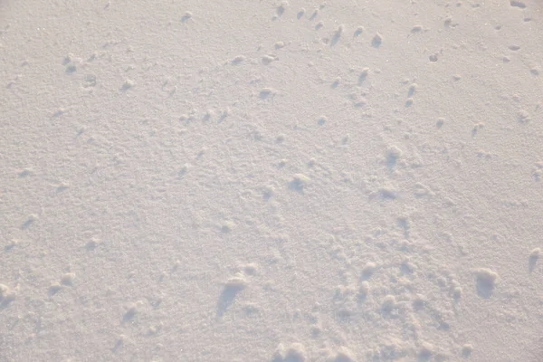 Zimní Pozadí Sněhem Textury Detailní — Stock fotografie