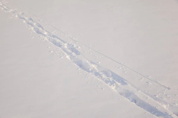 Menselijke Voetafdrukken Verse Sneeuw — Stockfoto