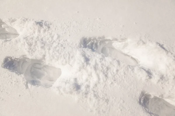 Menselijke Voetafdrukken Diepe Sneeuw — Stockfoto