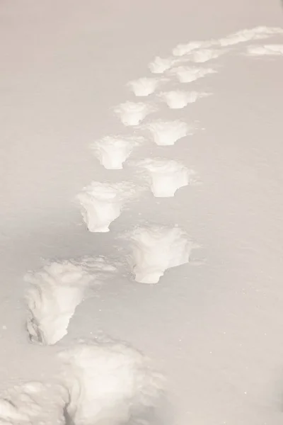 Emberi Lábnyomok Mély Hóban — Stock Fotó