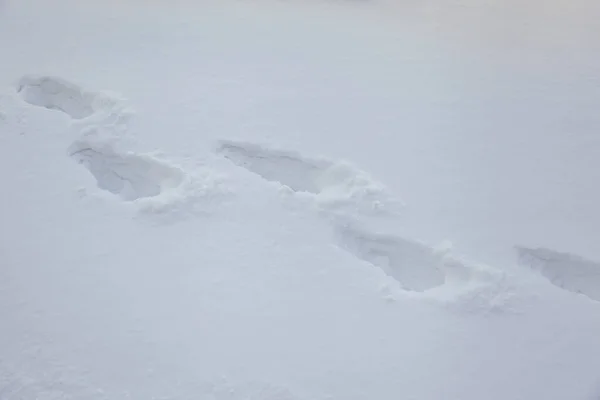 Pegadas Humanas Neve Profunda — Fotografia de Stock