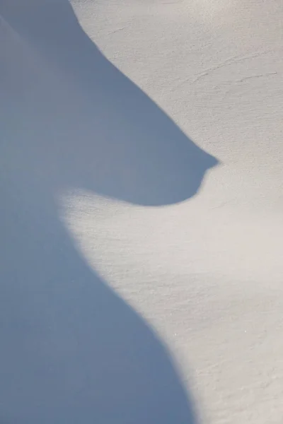 Winter Background Snow Texture Closeup — Stock Photo, Image