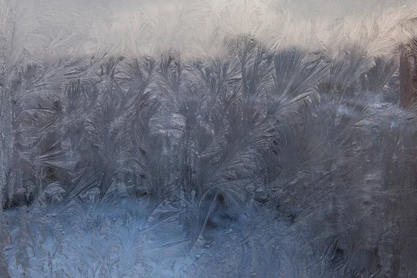 Bela Closeup Inverno Janela Painel Revestido Brilhante Gelado Padrões — Fotografia de Stock