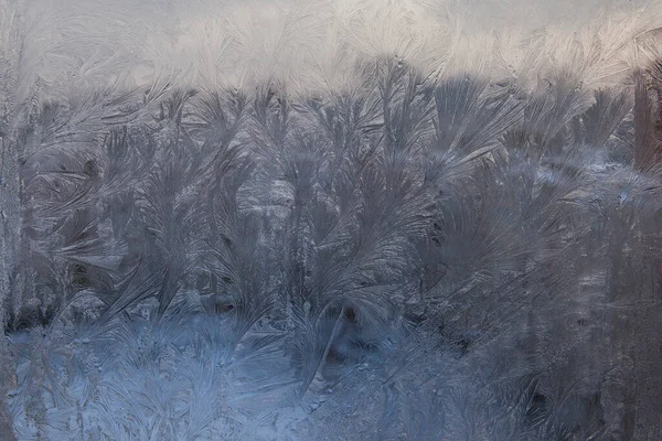 Hermoso Primer Plano Invierno Ventana Panel Recubierto Brillante Helada Patrones — Foto de Stock